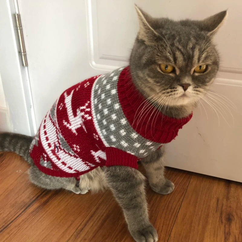 Cute Cat Sweater Winter Pullover