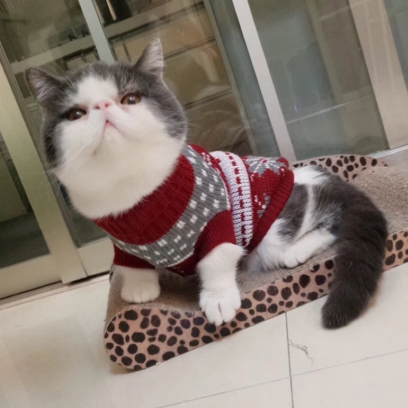 Cute Cat Sweater Winter Pullover