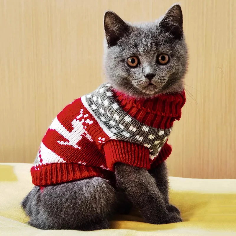 Cute Cat Sweater Winter Pullover