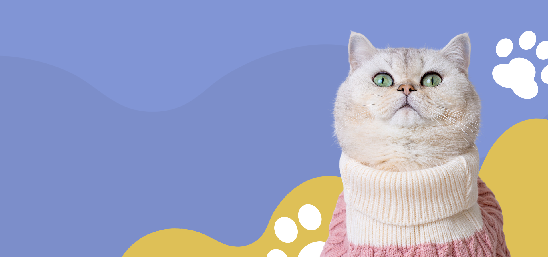 slider image 1621243260e1af0c20-2